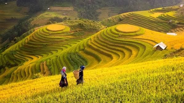 PAKEJ HANOI – SAPA - HALONG - TAM COC (7HARI 6MALAM)